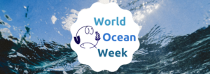world-ocean-week-2021