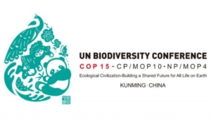 fifteenth-meeting-of-the-conference-of-the-parties-to-the-convention-on-biological-diversity