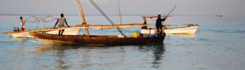 small-scale fisheries