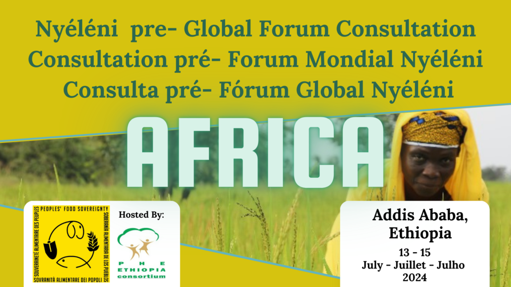 Nyeleni Global Forum_Africa